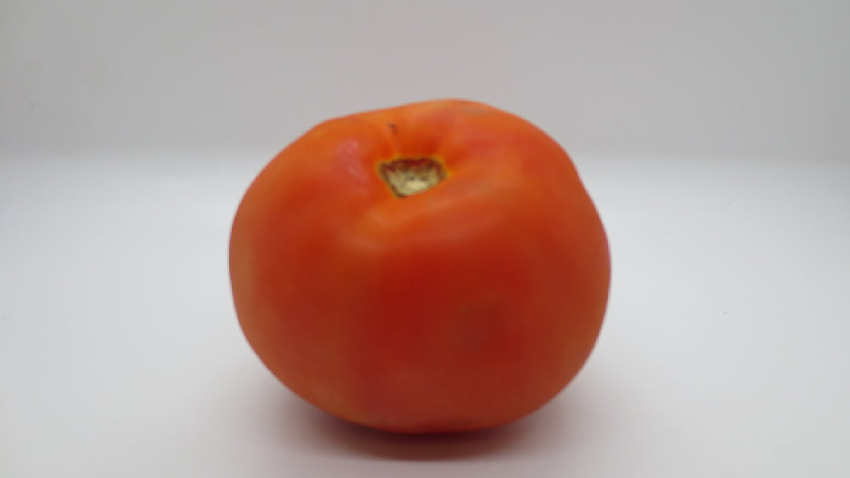 Tomatoes- TOMA/TOMAX
