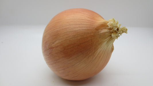 Spanish Yellow Onion- ON/ONX