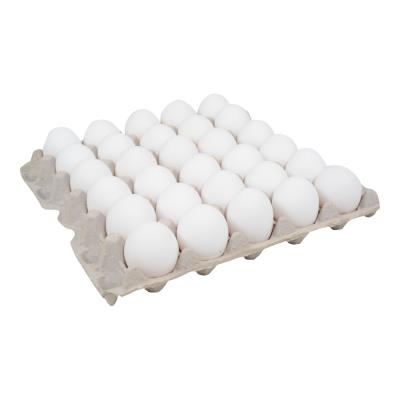 Extra Large Loose Eggs- XLGE